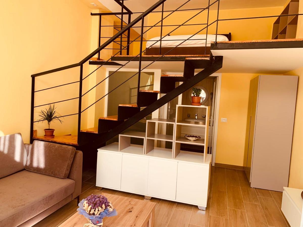 Auto Tana Guest House Tirana Zewnętrze zdjęcie